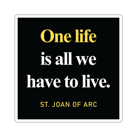 One Life is All We Have to Live Sticker