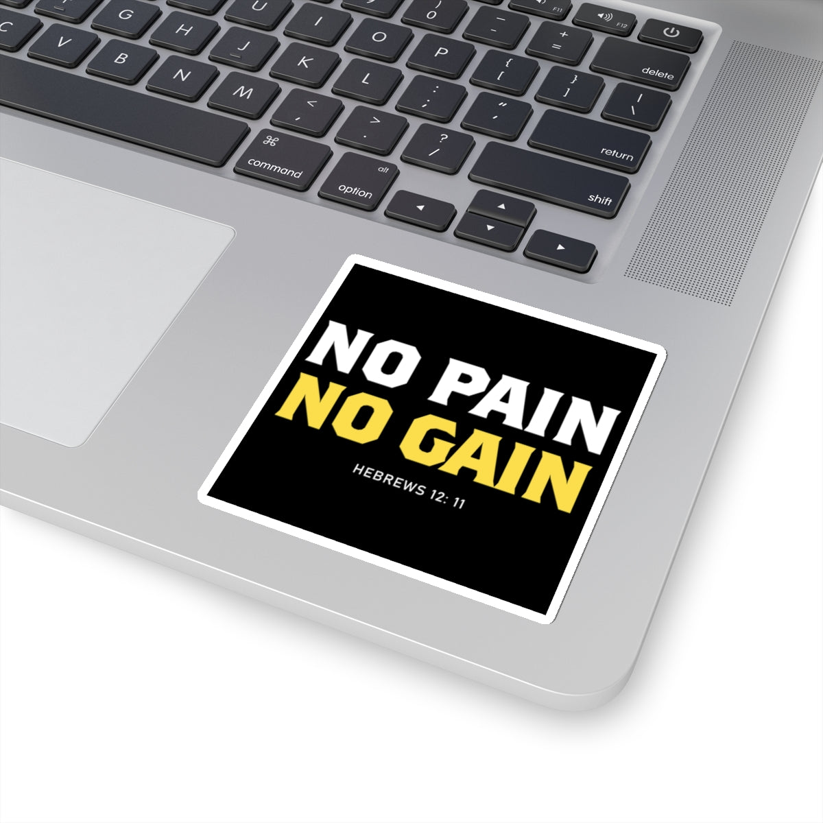 No Pain, No Gain Sticker