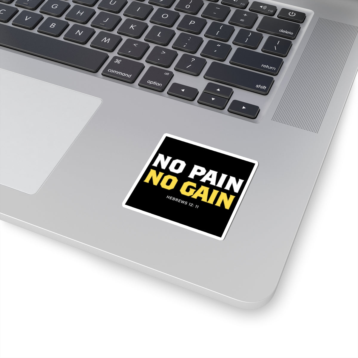 No Pain, No Gain Sticker