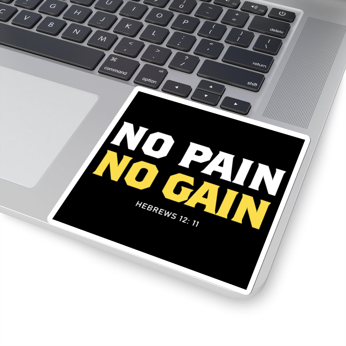 No Pain, No Gain Sticker